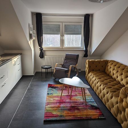 Ferienwohnung Am Stadtpark Chemnitz Zewnętrze zdjęcie